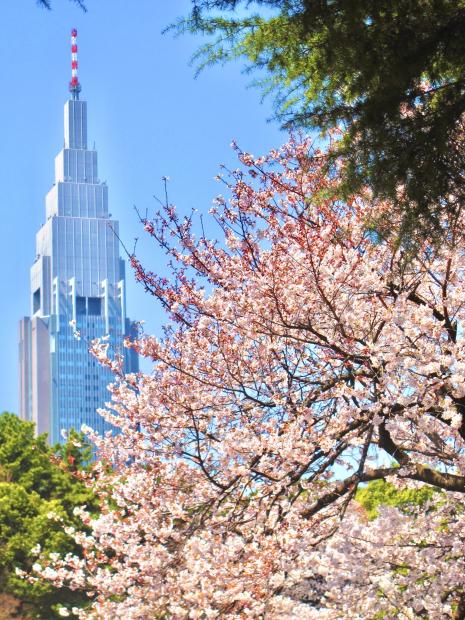 新宿御苑